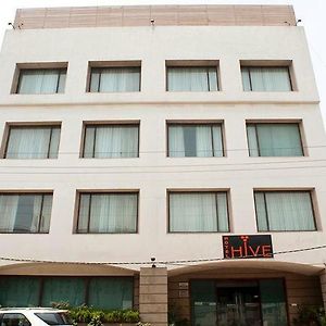 Hotel Hive